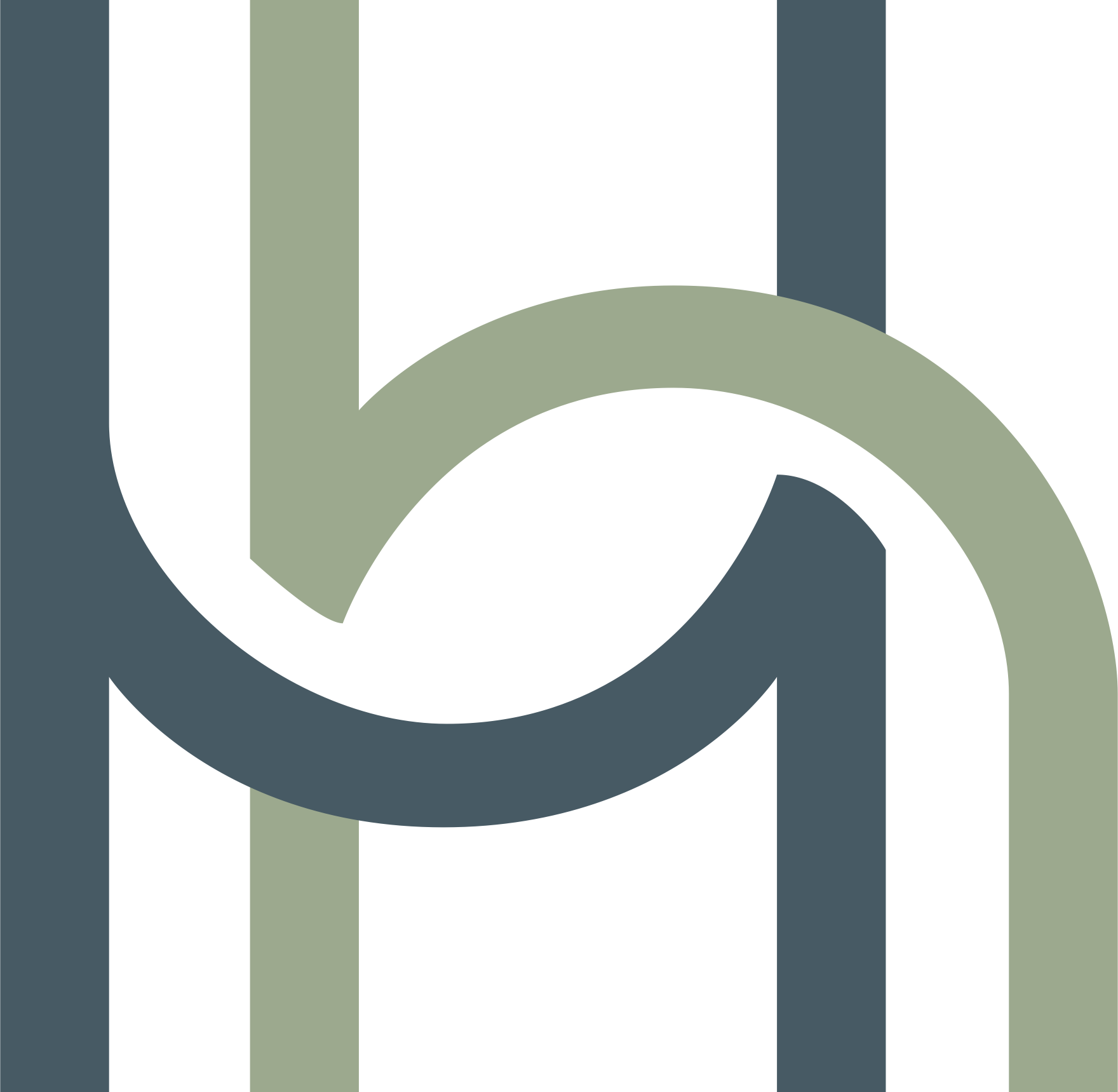 Healthy Homes